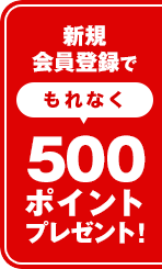新規会員登録で今すぐ使える500ポイントプレゼント
